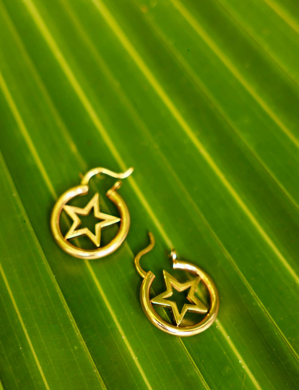 Dainty Star Hoops — Gold